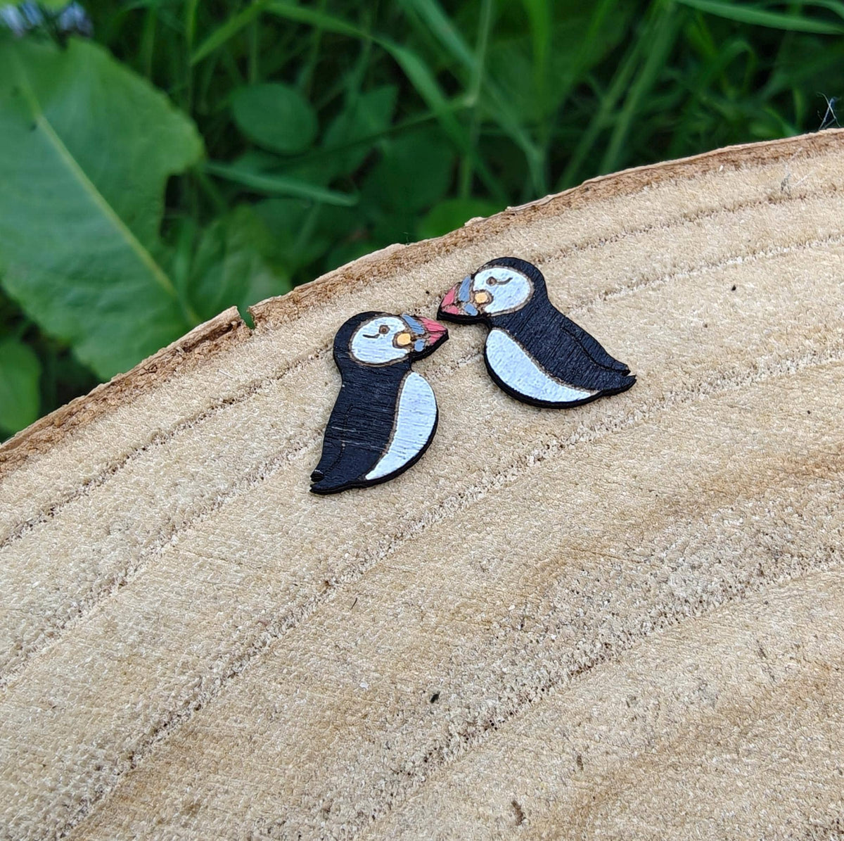 Handpainted Birch Puffin Bird Stud Earrings with Gift Tin