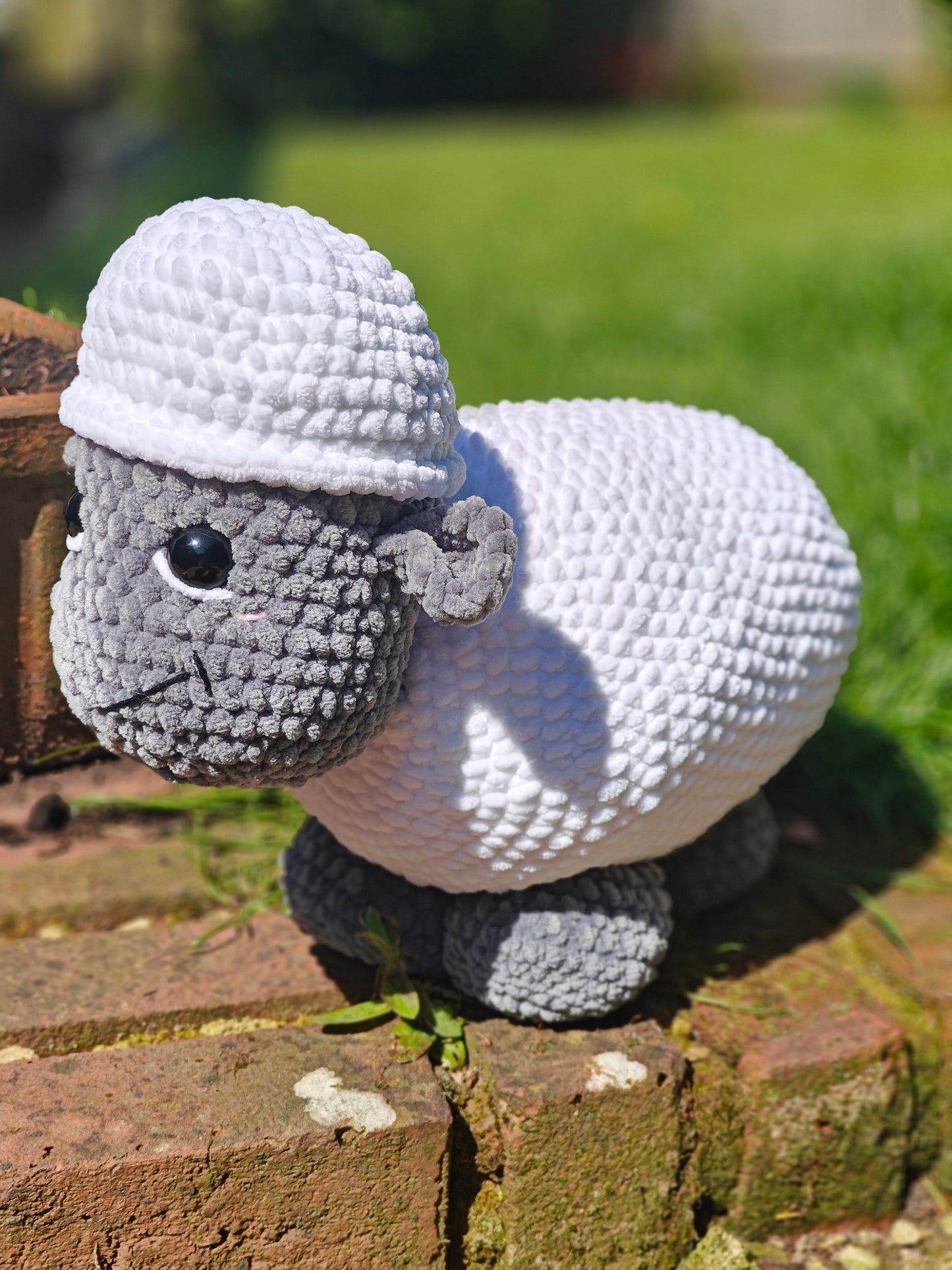 Jumbo and Baby Sheep