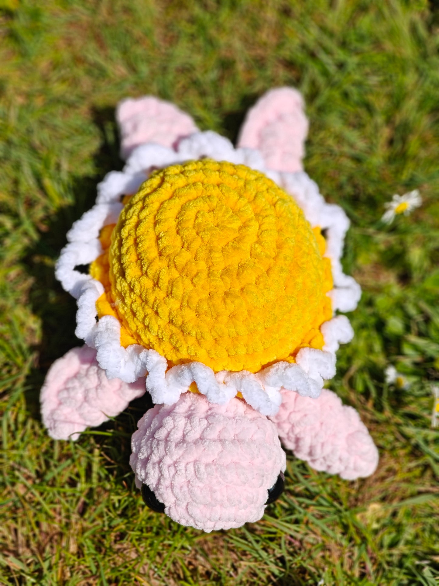 Flower Turtle