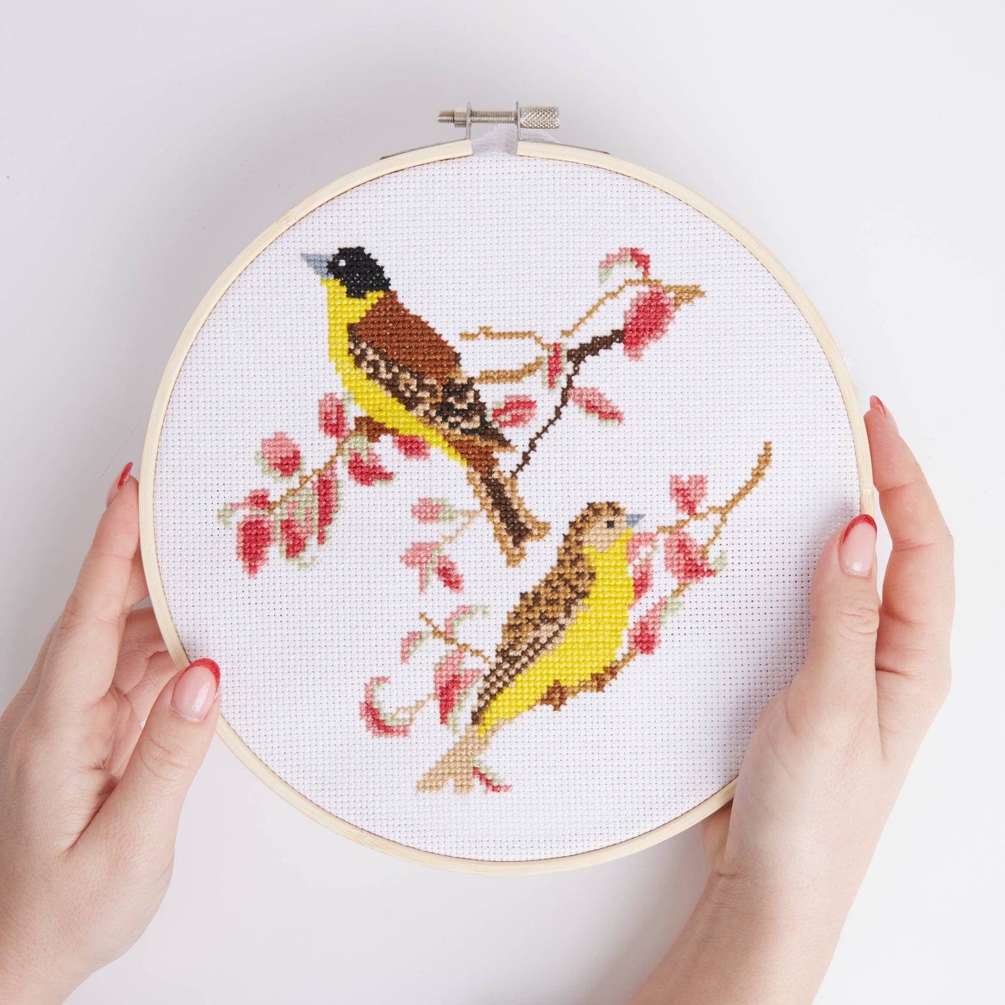Natural History Museum Cross Stitch Kit Buntings Design 14cm