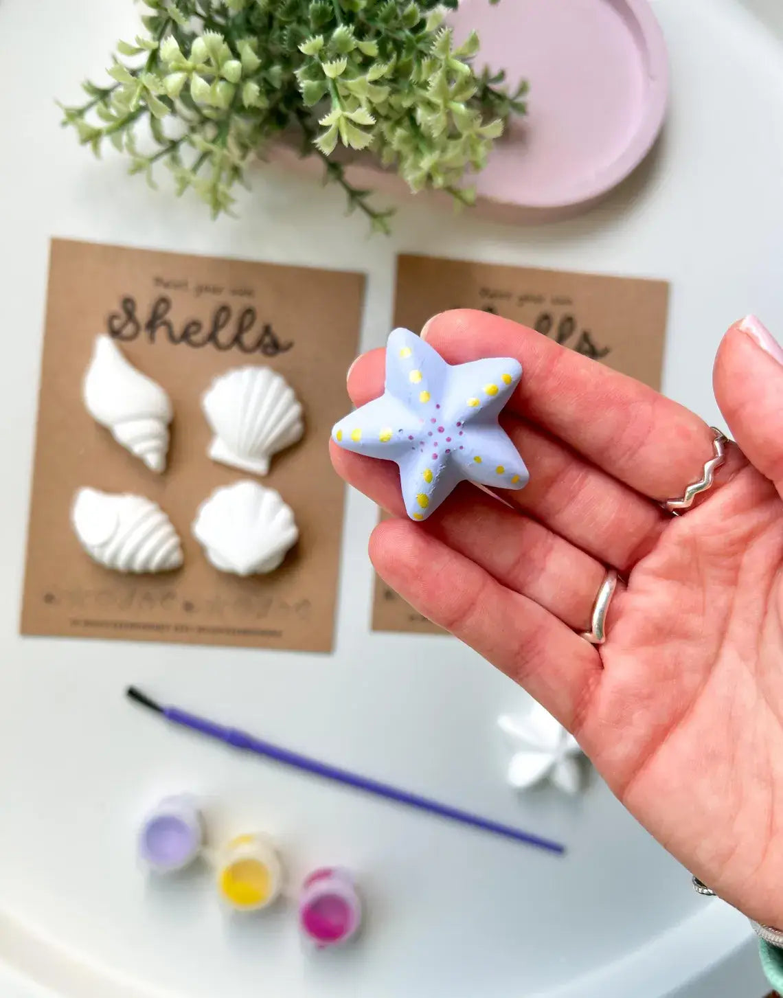 Shell Pottery Painting Kit, Craft Kits,  Beach Themed Gifts