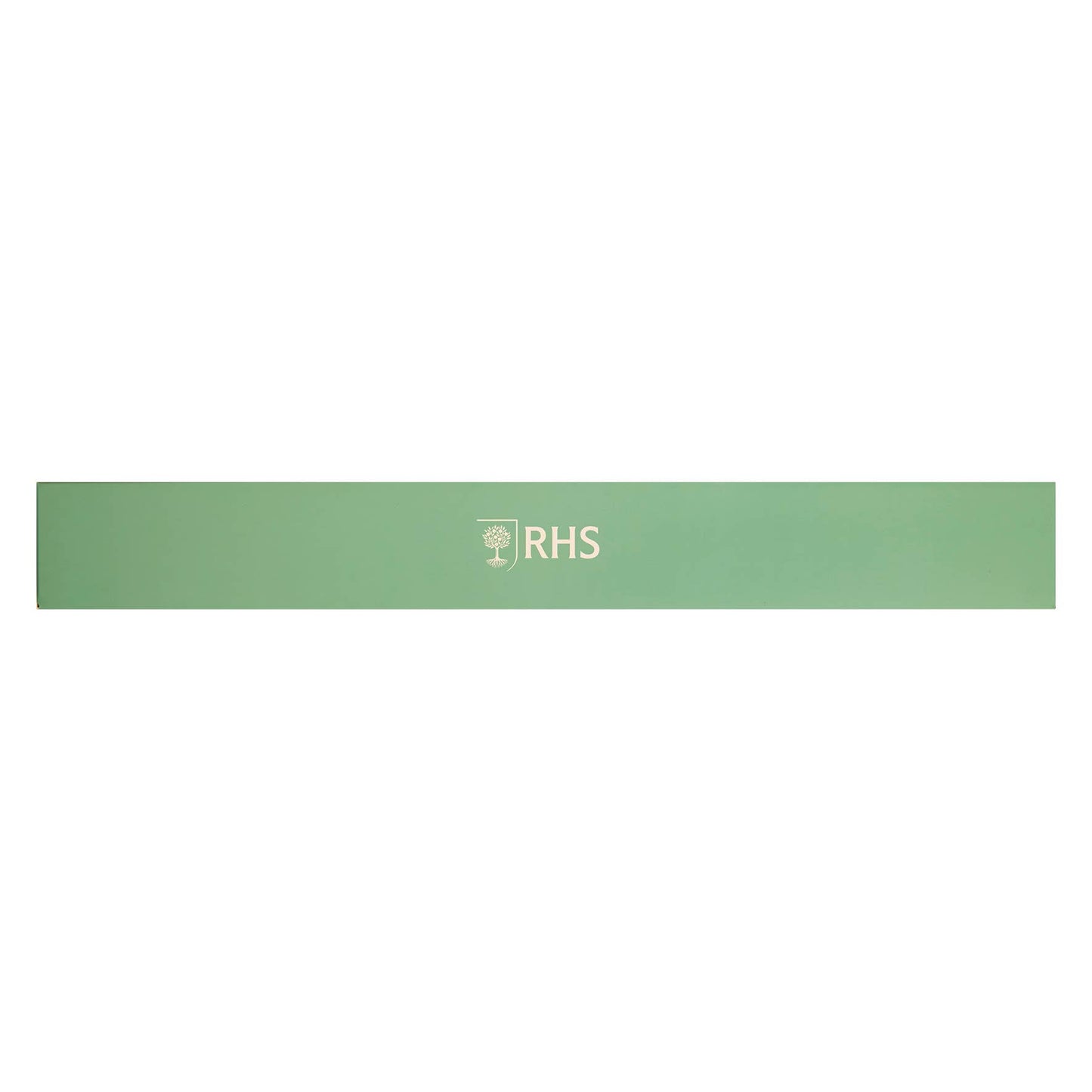 RHS Colouring Roll & Pencils White, 3 Meters Bugs and Blooms