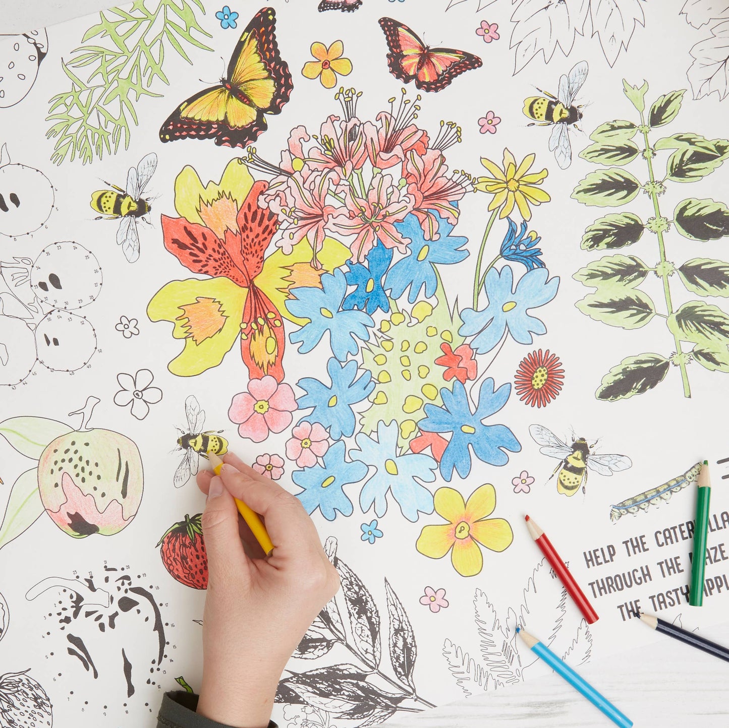 RHS Colouring Roll & Pencils White, 3 Meters Bugs and Blooms