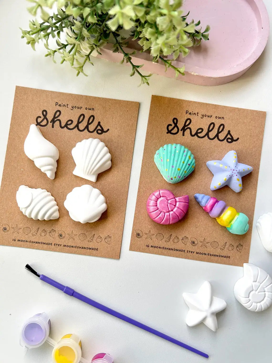 Shell Pottery Painting Kit, Craft Kits,  Beach Themed Gifts