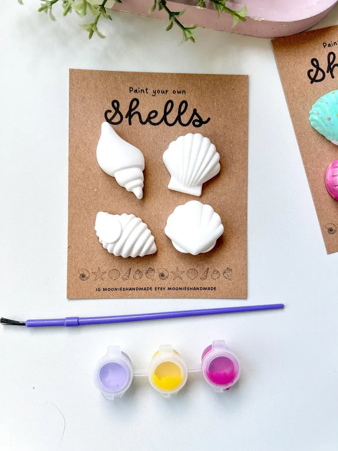Shell Pottery Painting Kit, Craft Kits,  Beach Themed Gifts