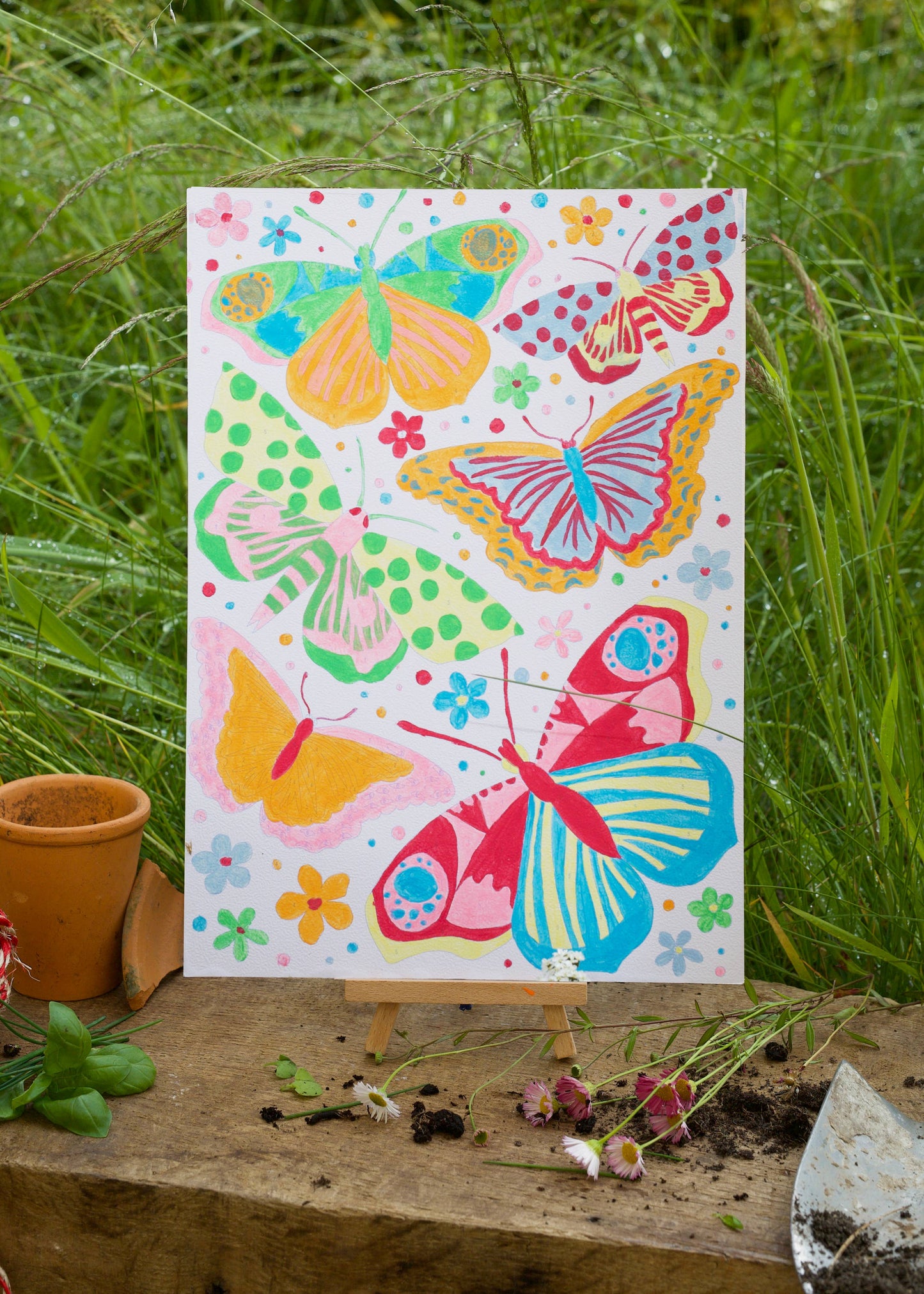 RHS Paint By Numbers For Kids Multicoloured, A4, Butterflies