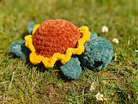 Flower Turtle