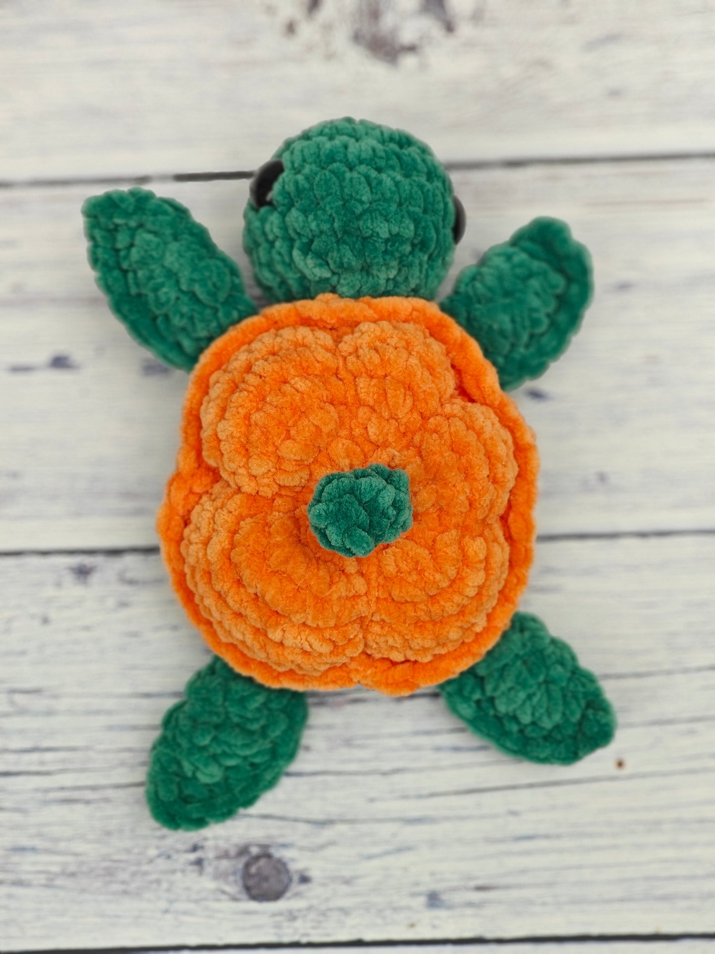 Pumpkin Turtle