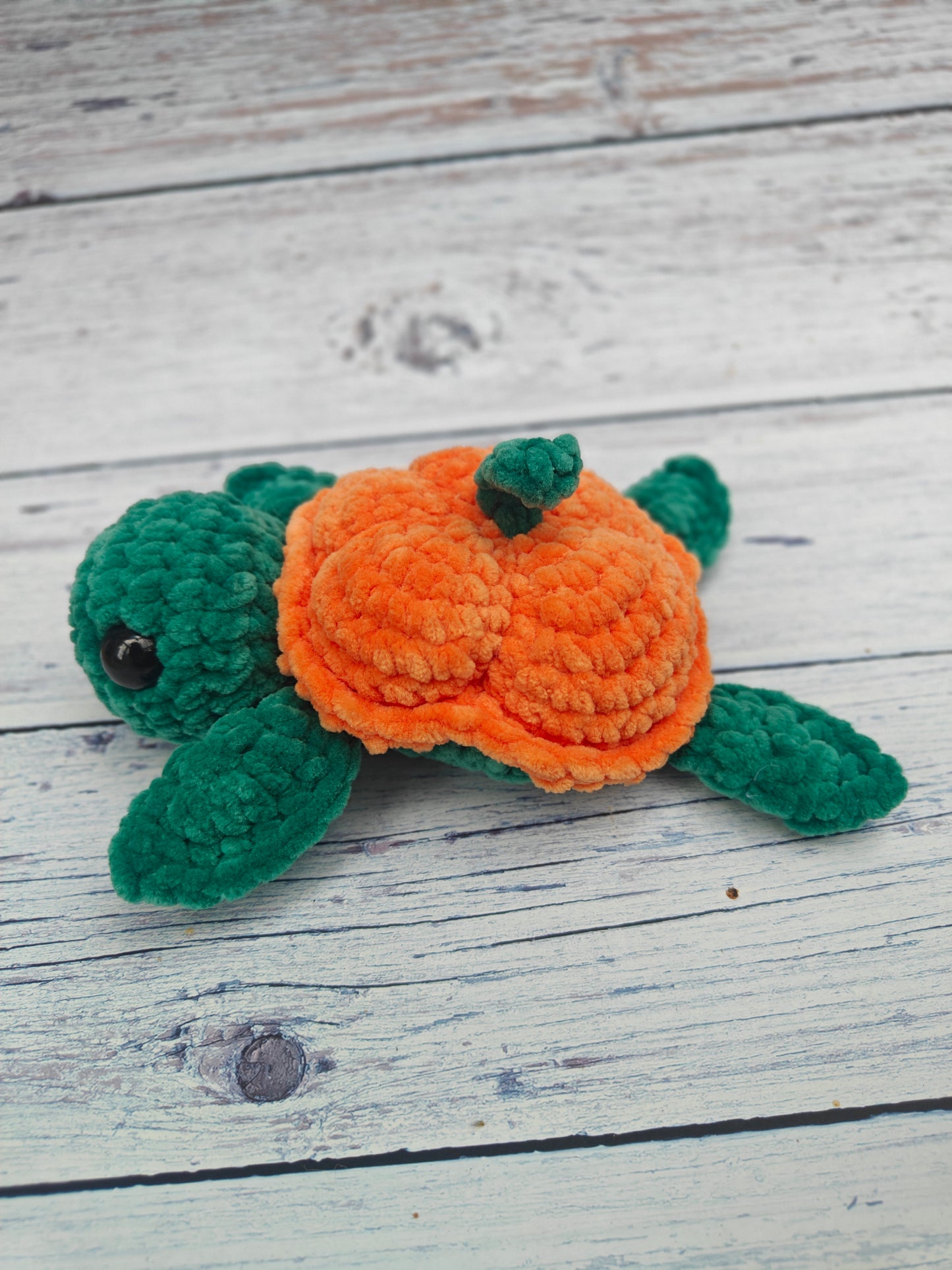 Pumpkin Turtle