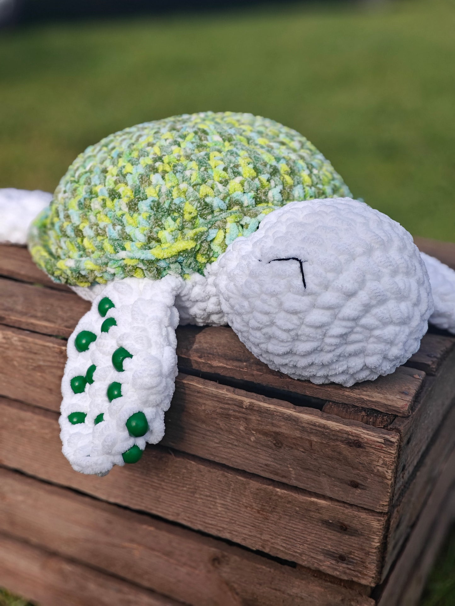 Custom Sensory and Weighted Turtle