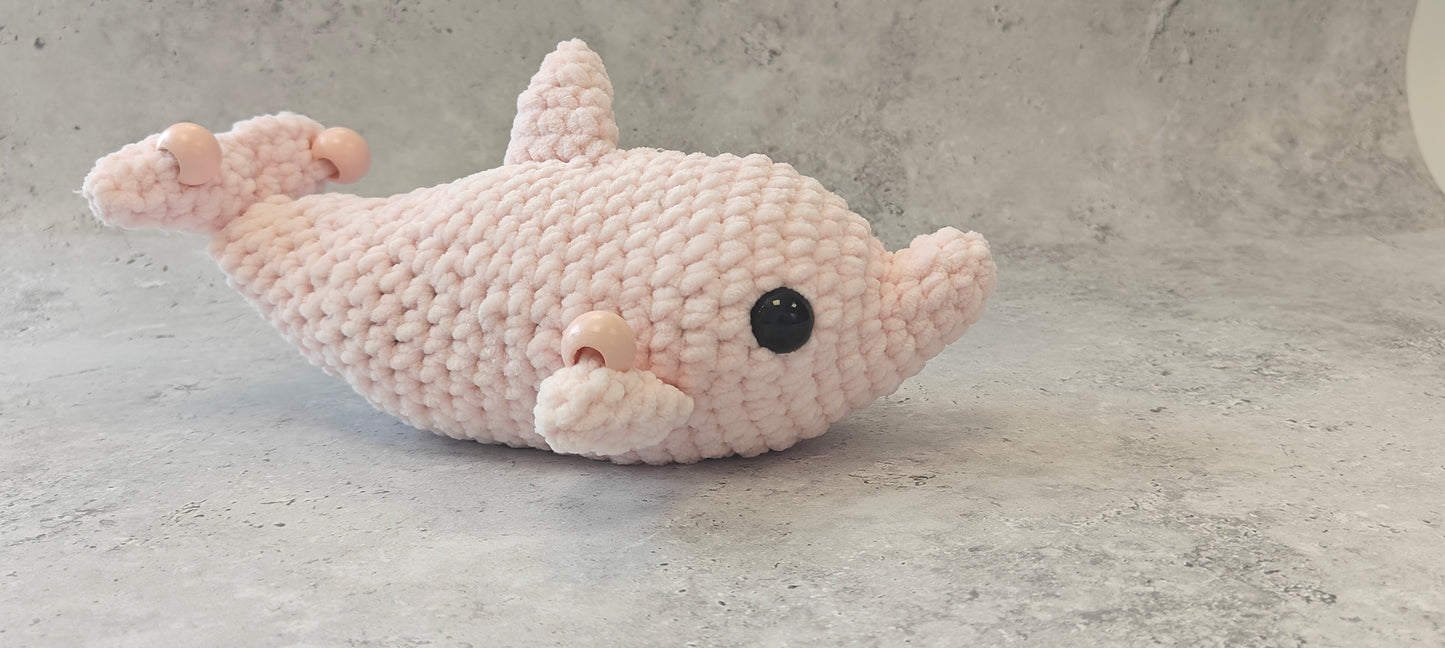 Weighted Dolphin