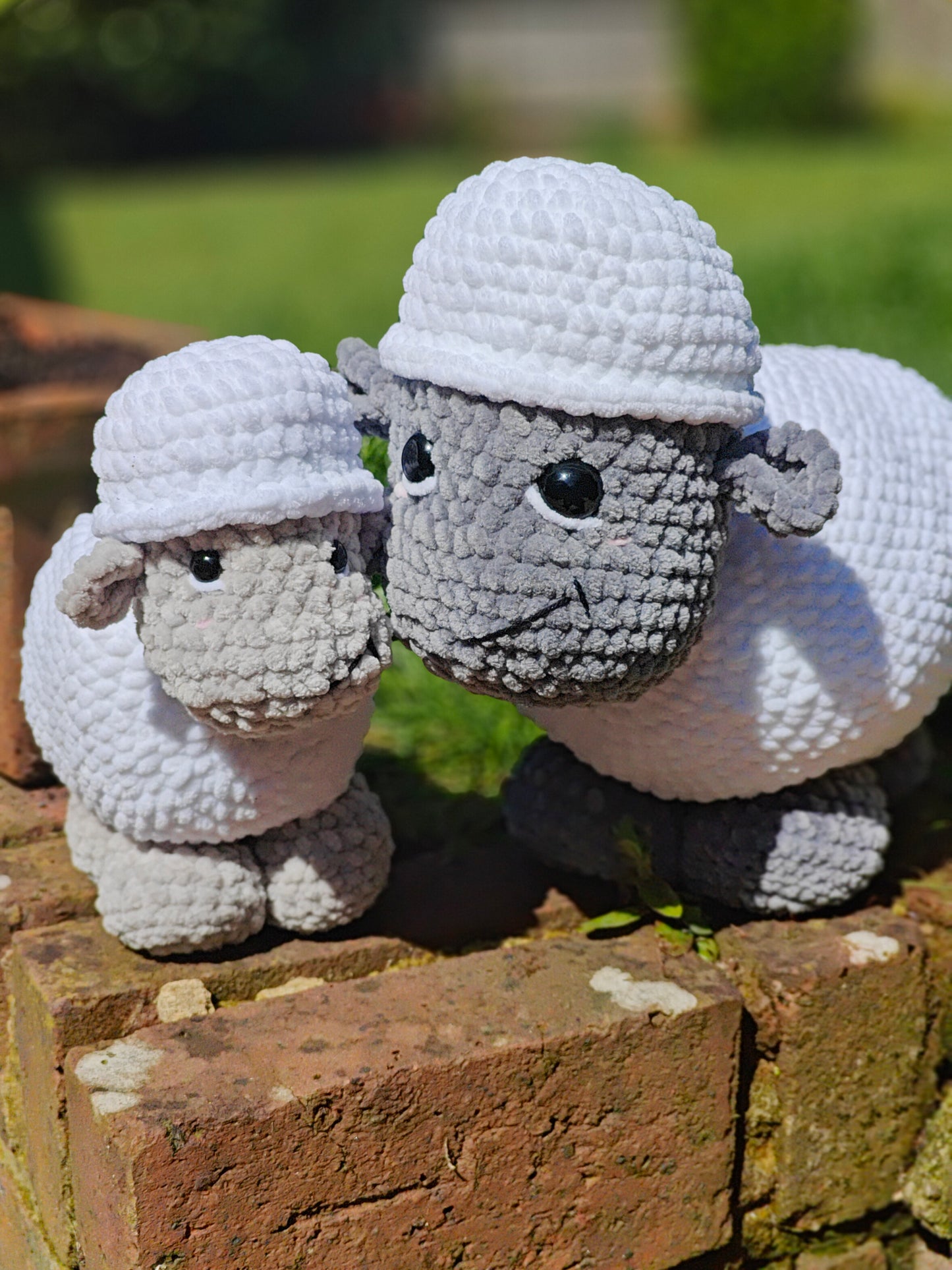 Jumbo and Baby Sheep