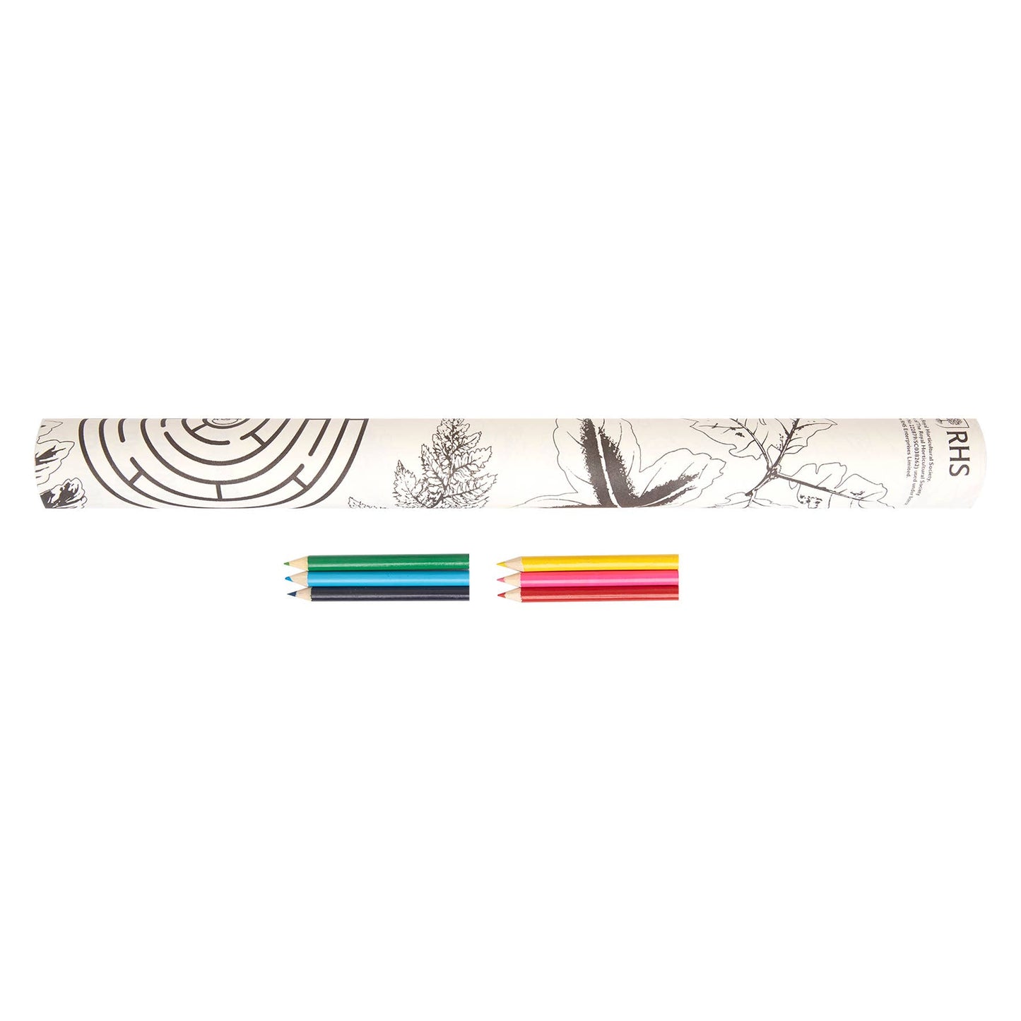 RHS Colouring Roll & Pencils White, 3 Meters Bugs and Blooms
