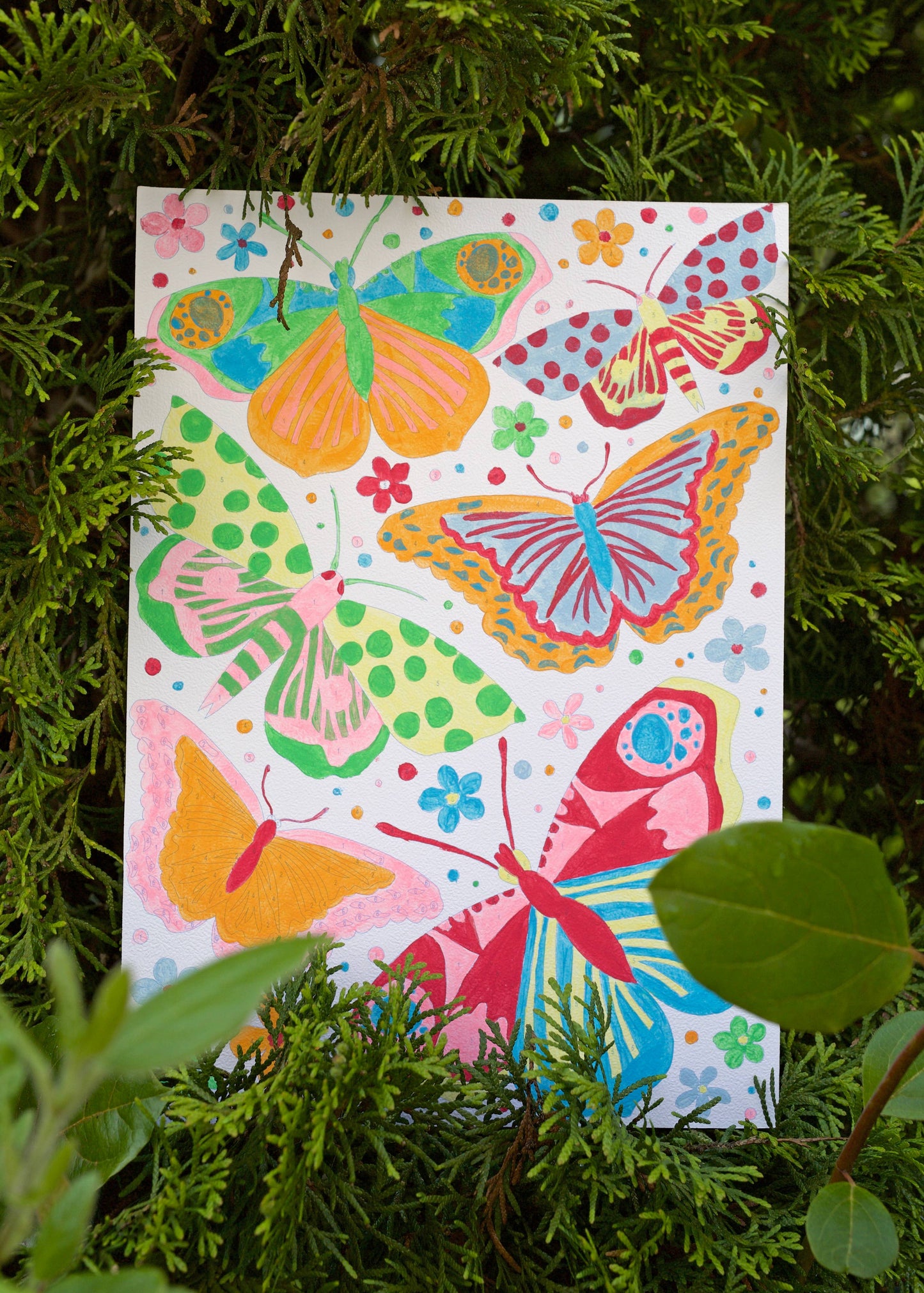 RHS Paint By Numbers For Kids Multicoloured, A4, Butterflies