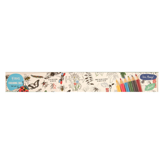 RHS Colouring Roll & Pencils White, 3 Meters Bugs and Blooms